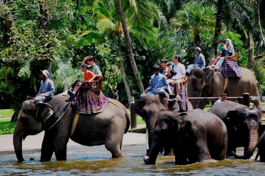 Photo of Others in Drupadi