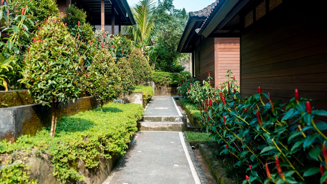 Photo of Outdoor in Kemenuh