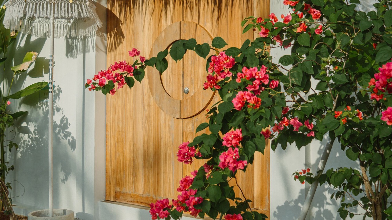 Photo of Bedroom in Pecatu