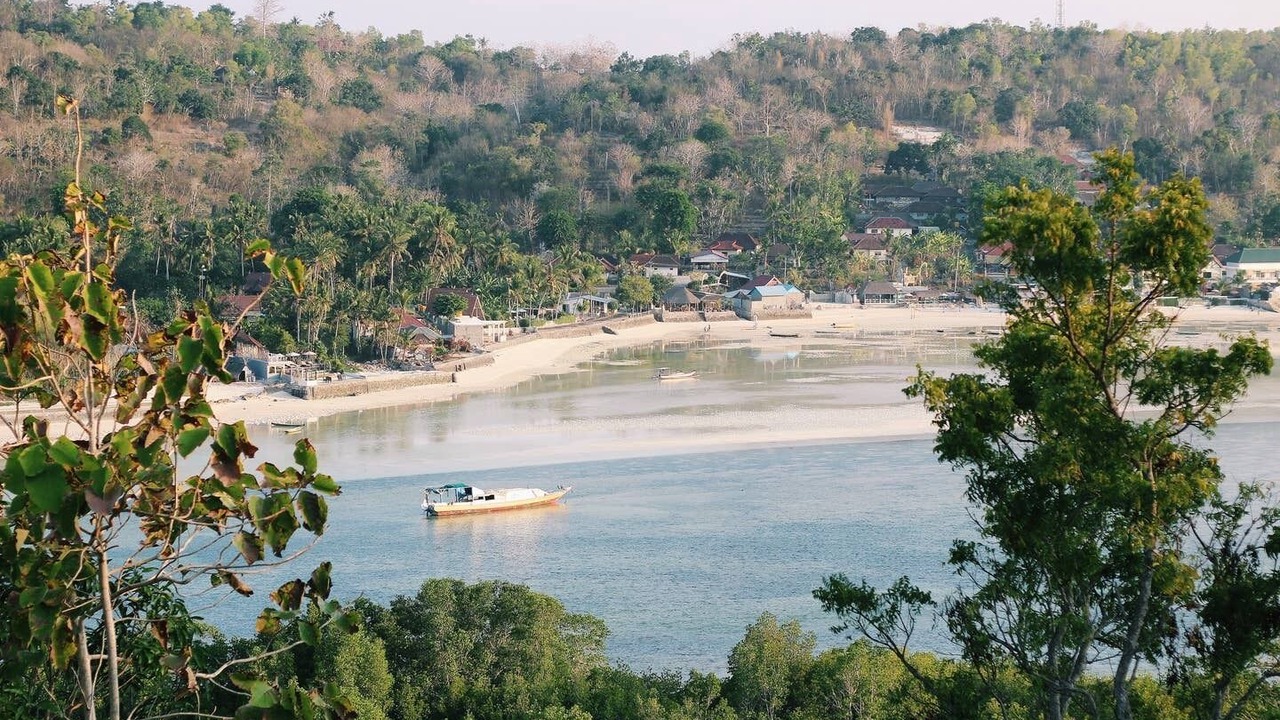 Photo of Others in Mushroom Bay