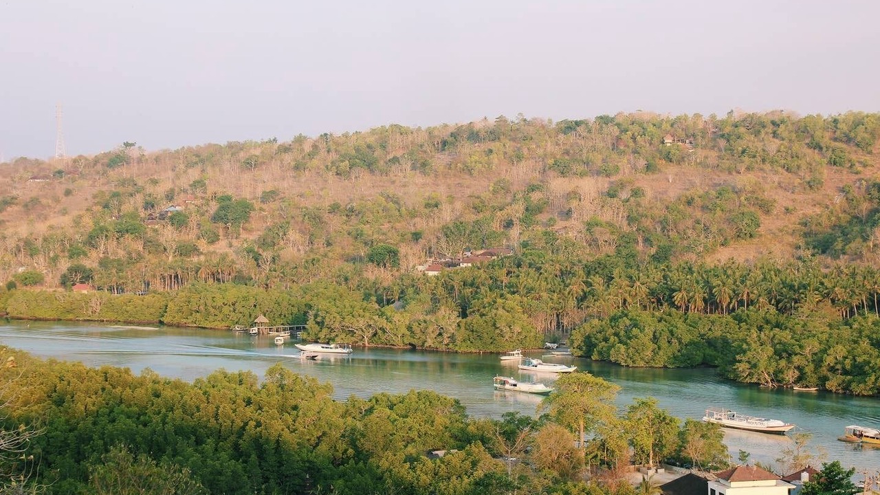 Photo of Outdoor in Mushroom Bay