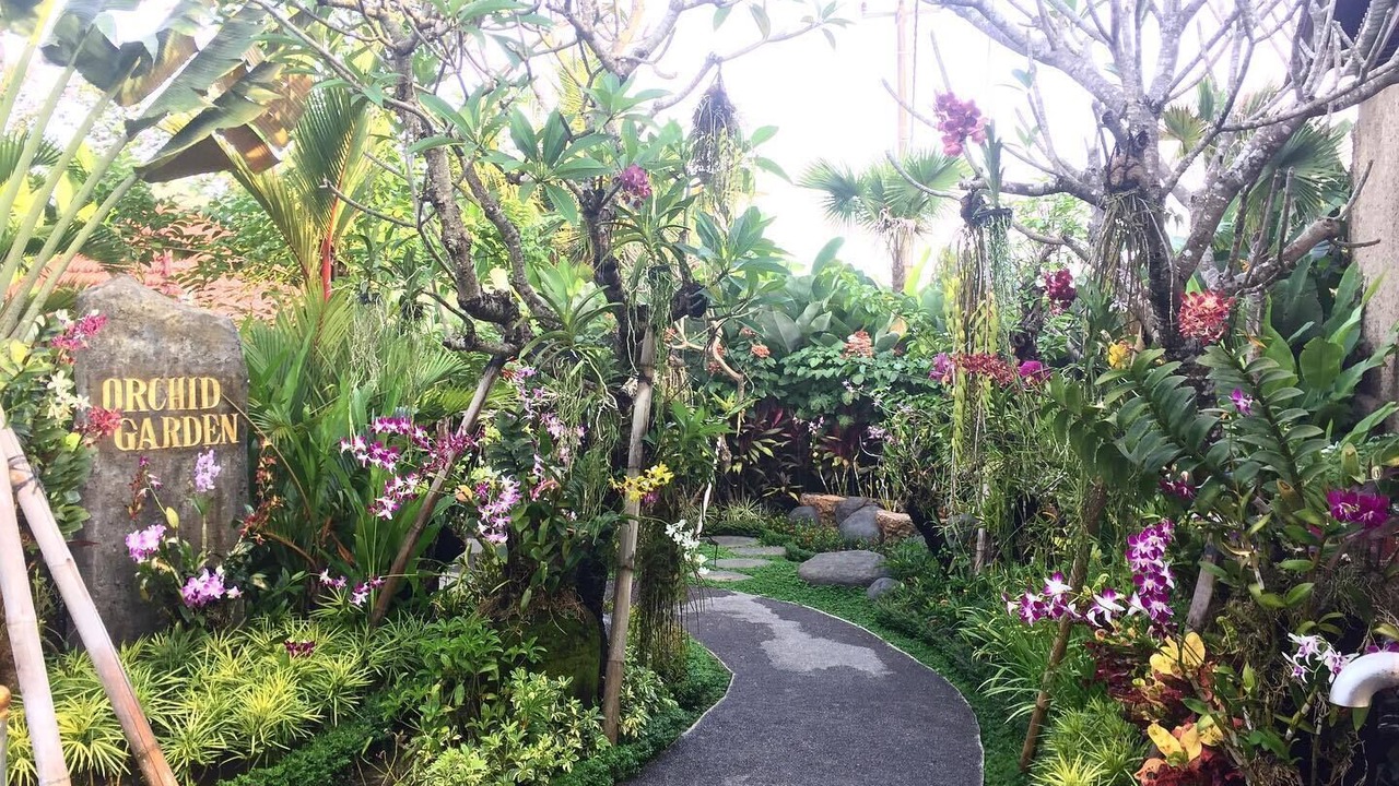 Photo of Outdoor in Saba