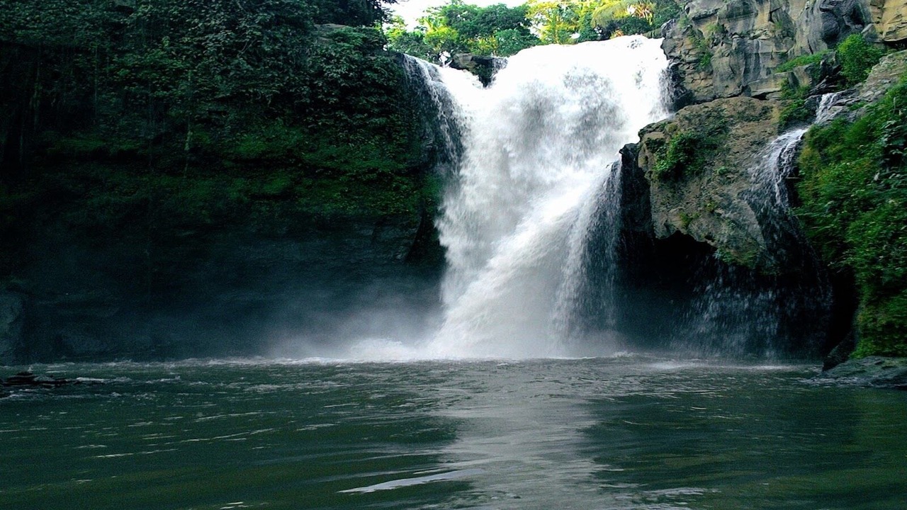 Photo of Others in Saba