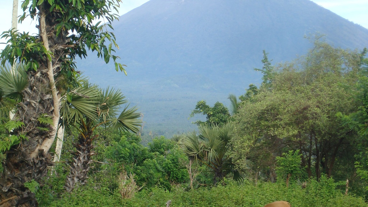 Photo of Outdoor in Tumbu Village