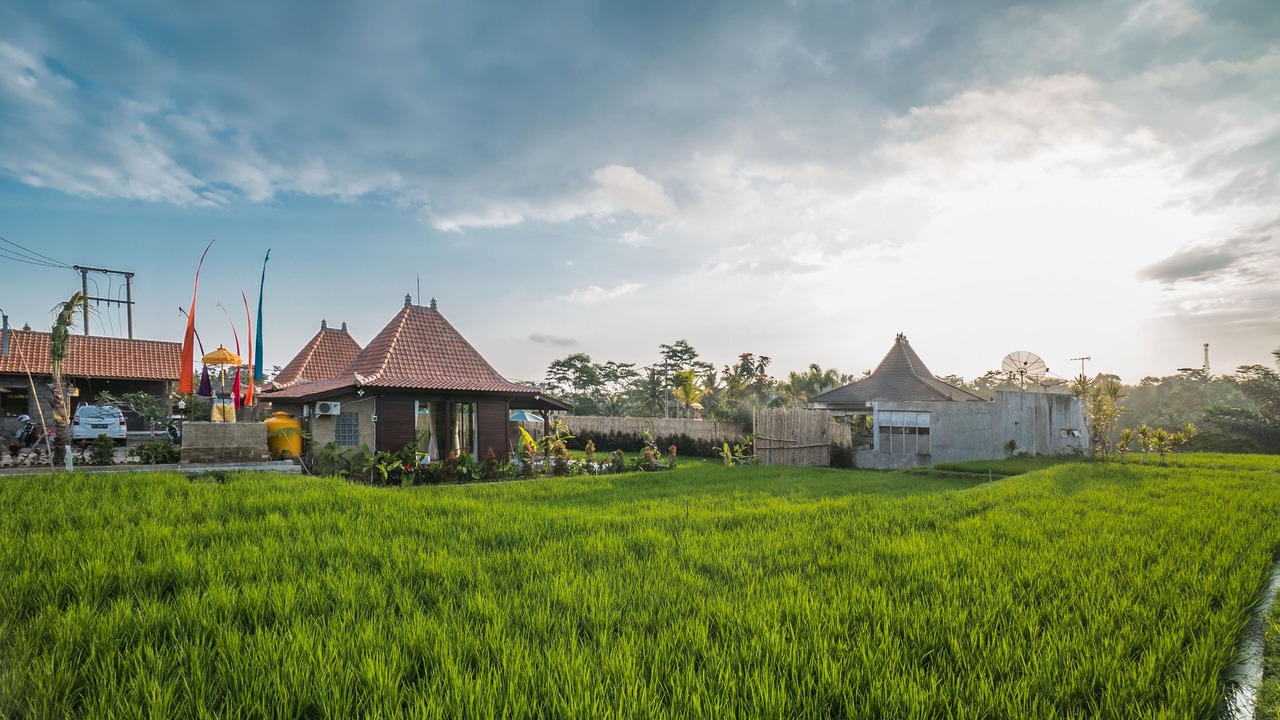 Photo of Outdoor in Sebatu