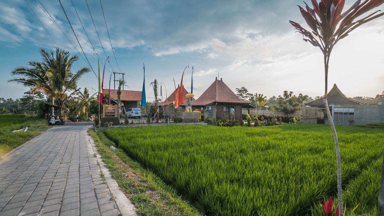 Photo of Outdoor in Sebatu