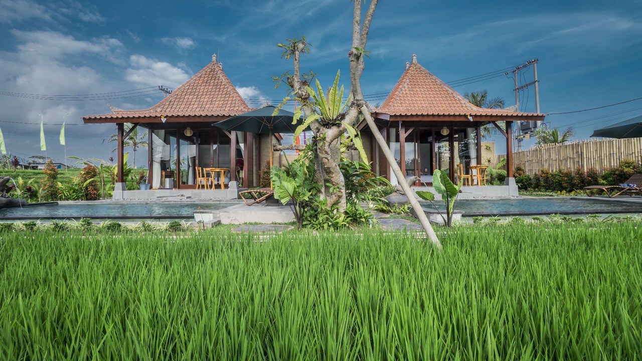 Photo of Outdoor in Sebatu