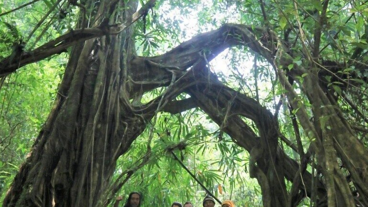 Photo of Outdoor in Penebel