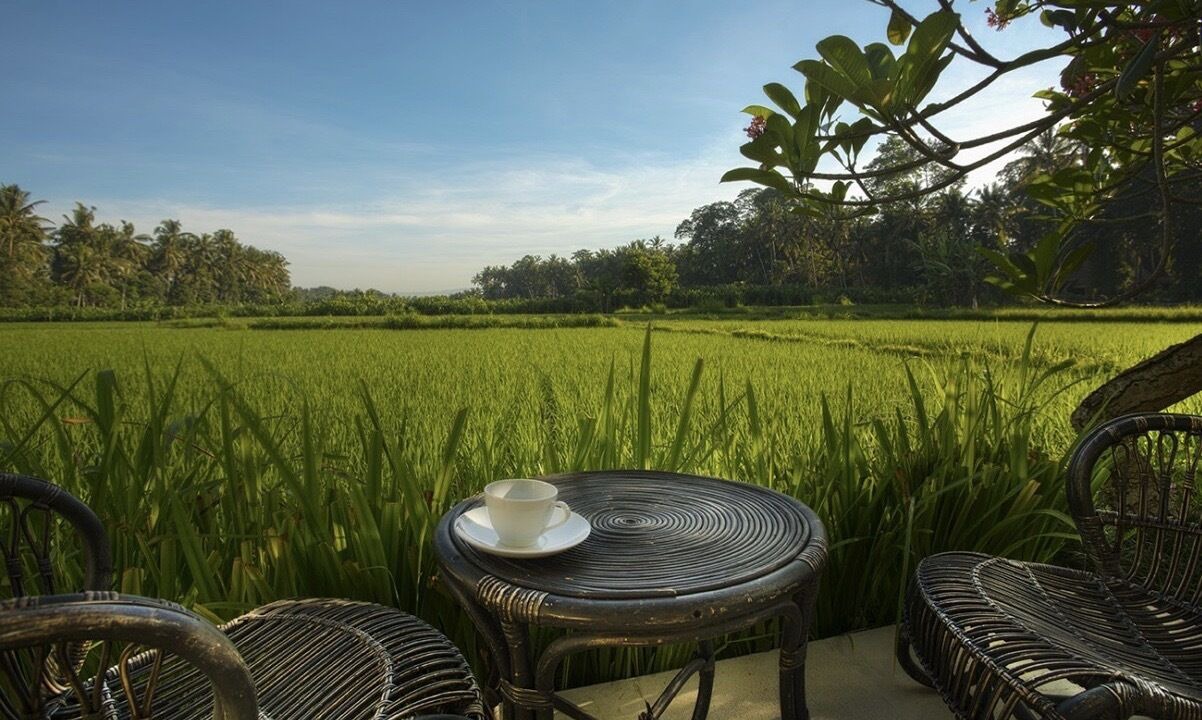 Photo of Outdoor in Lodtunduh