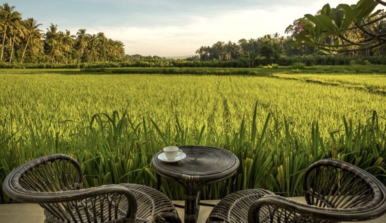 Photo of Outdoor in Lodtunduh