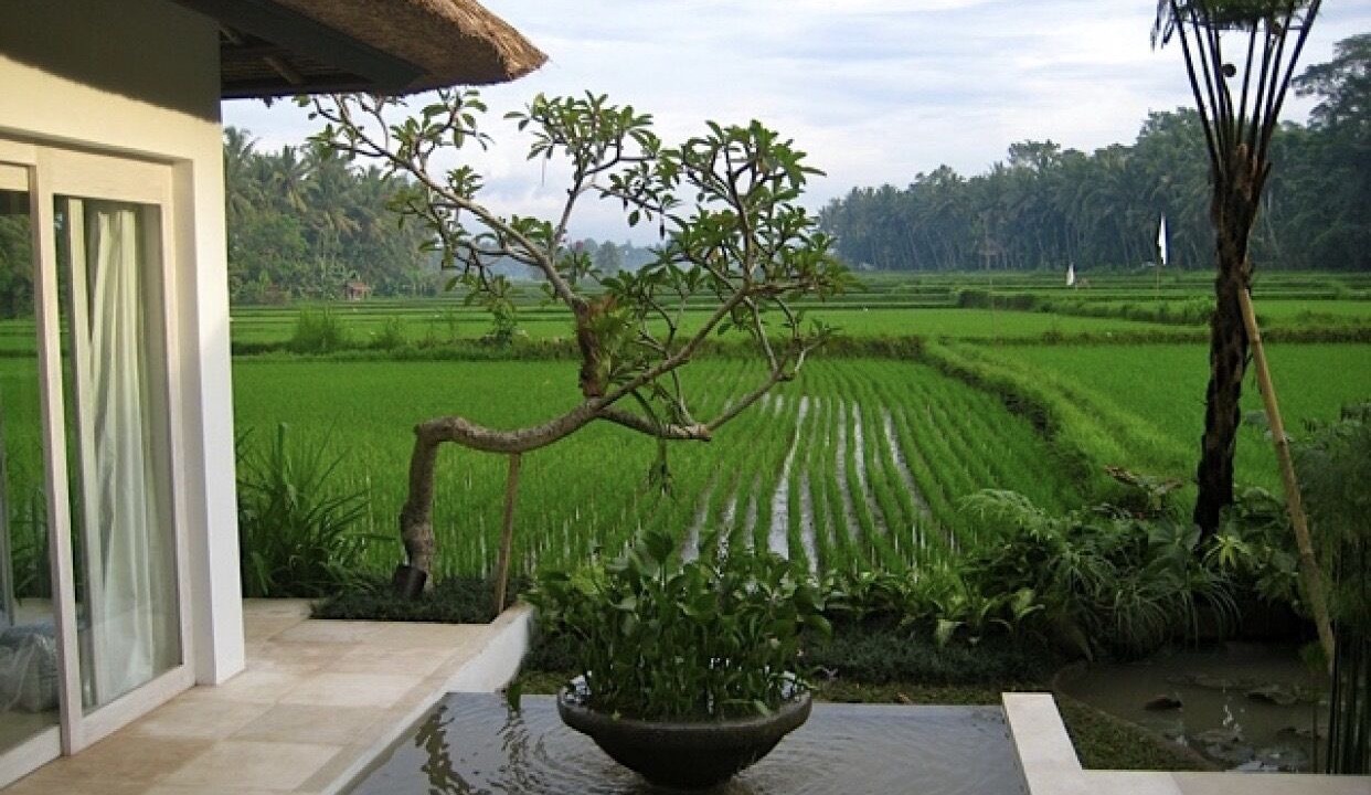 Photo of Outdoor in Lodtunduh