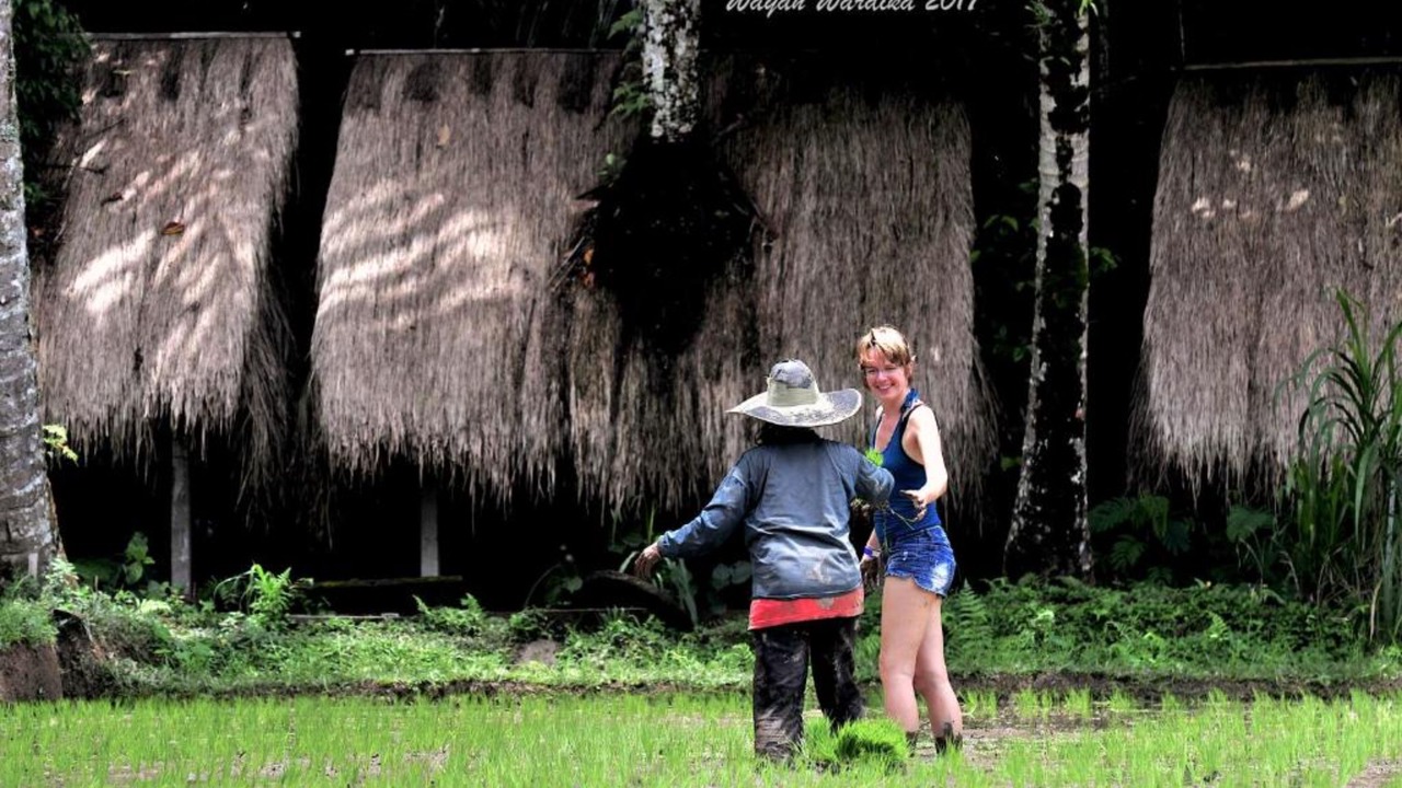 Photo of Outdoor in Taro