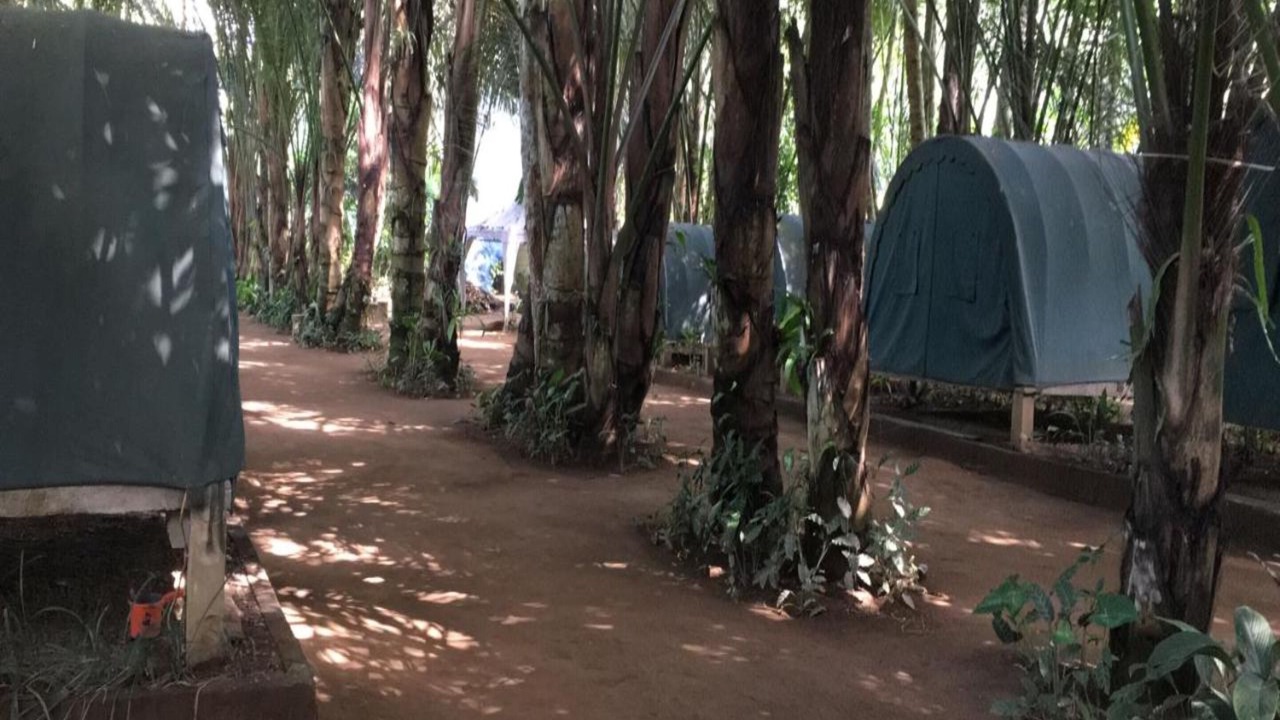 Photo of Bedroom in Taro