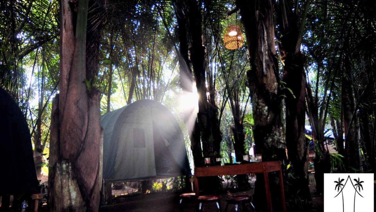 Photo of Outdoor in Taro