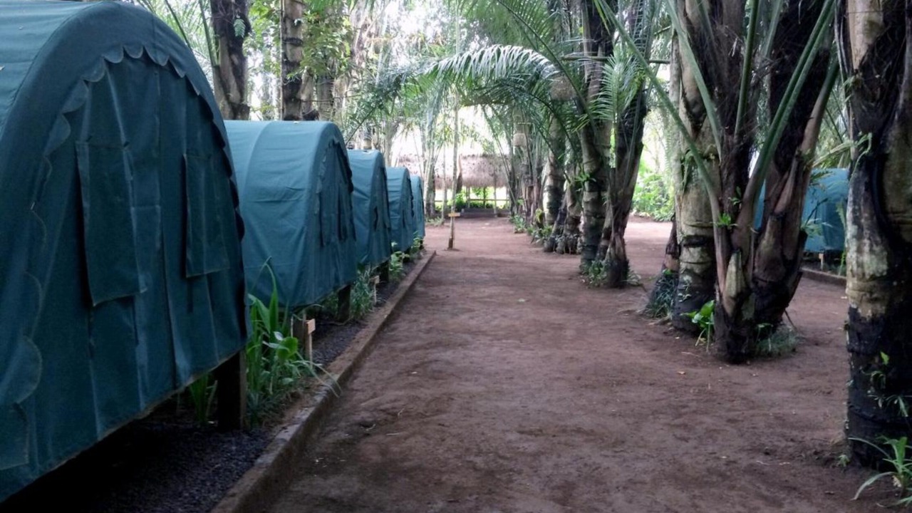 Photo of Bedroom in Taro