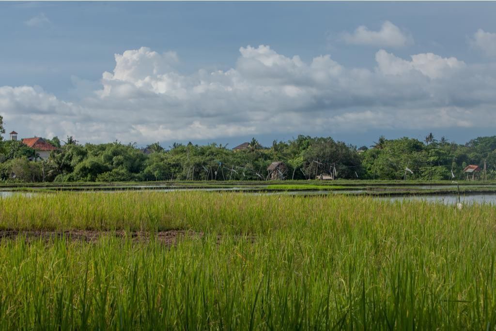 Photo of Others in Batubelig
