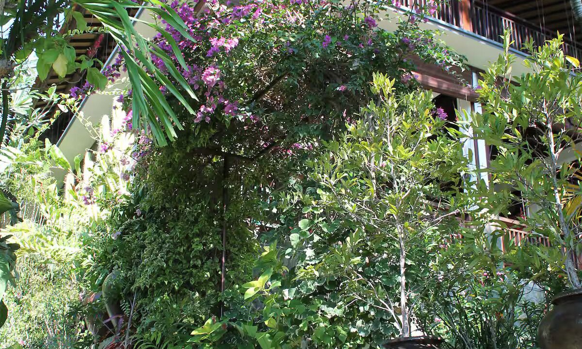 Photo of Outdoor in Amed