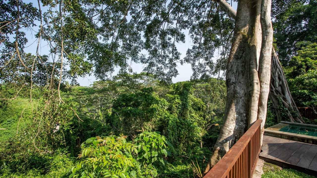 Photo of Outdoor in Pejeng Kawan