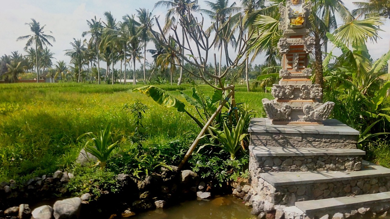 Photo of Outdoor in Kemenuh