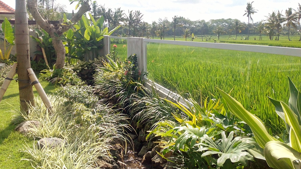 Photo of Outdoor in Kemenuh