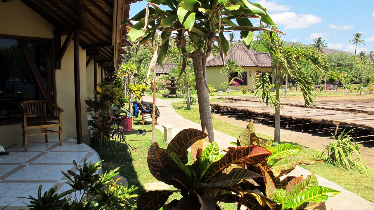 Photo of Outdoor in Purwakerti