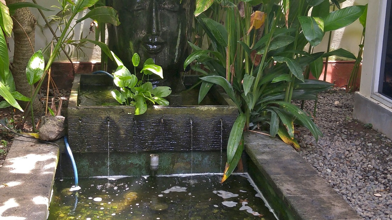 Photo of Outdoor in Sengkidu