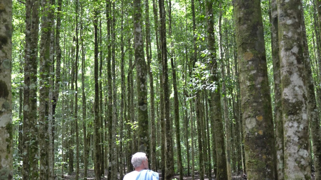 Photo of Outdoor in Bedugul