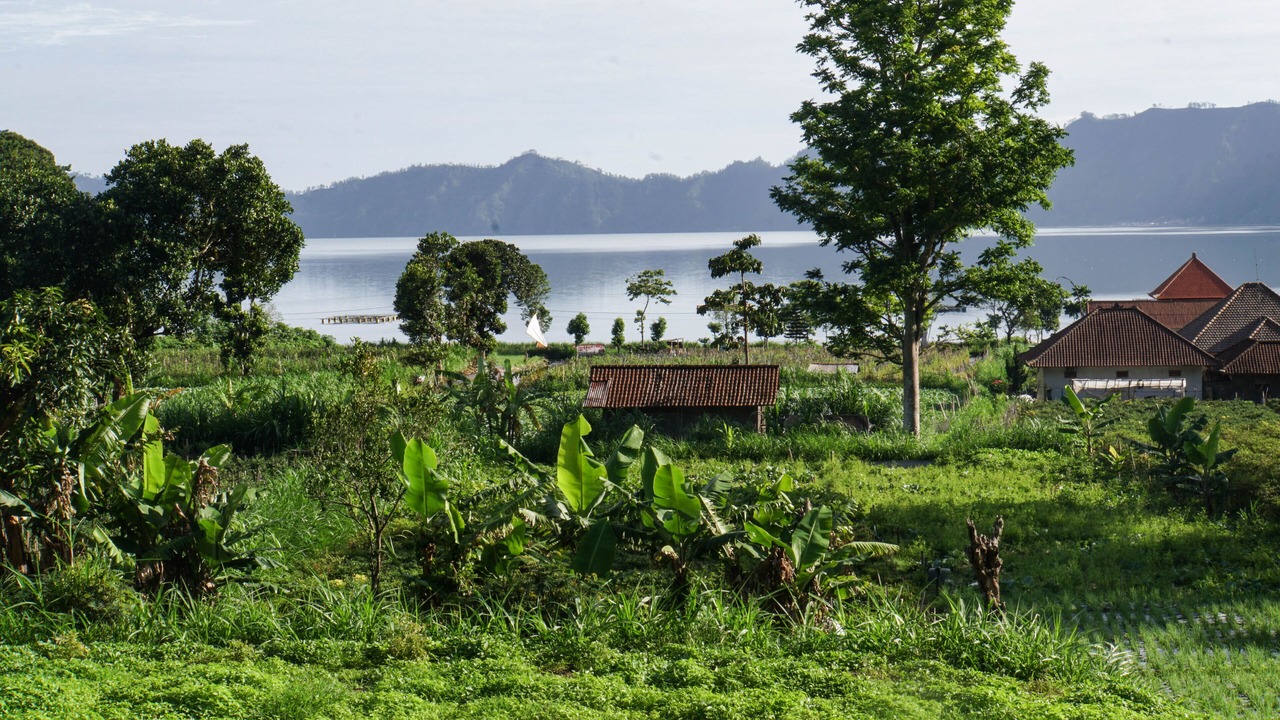 Photo of Outdoor in Kintamani