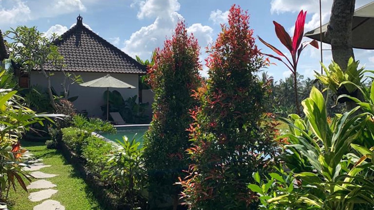 Photo of Outdoor in Pejeng Kawan