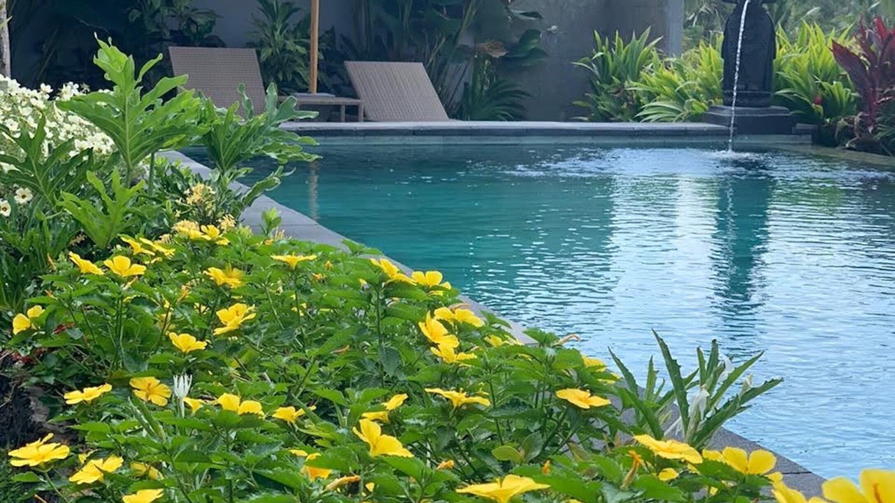 Photo of Outdoor in Pejeng Kawan