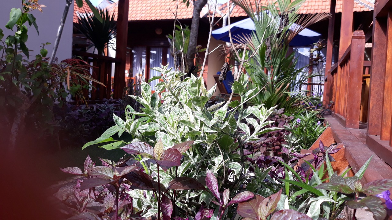 Photo of Outdoor in Batukandik