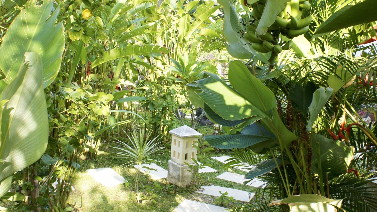 Photo of Outdoor in Tulamben