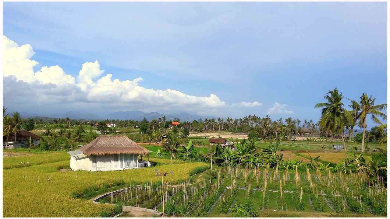Photo of Outdoor in Medahan
