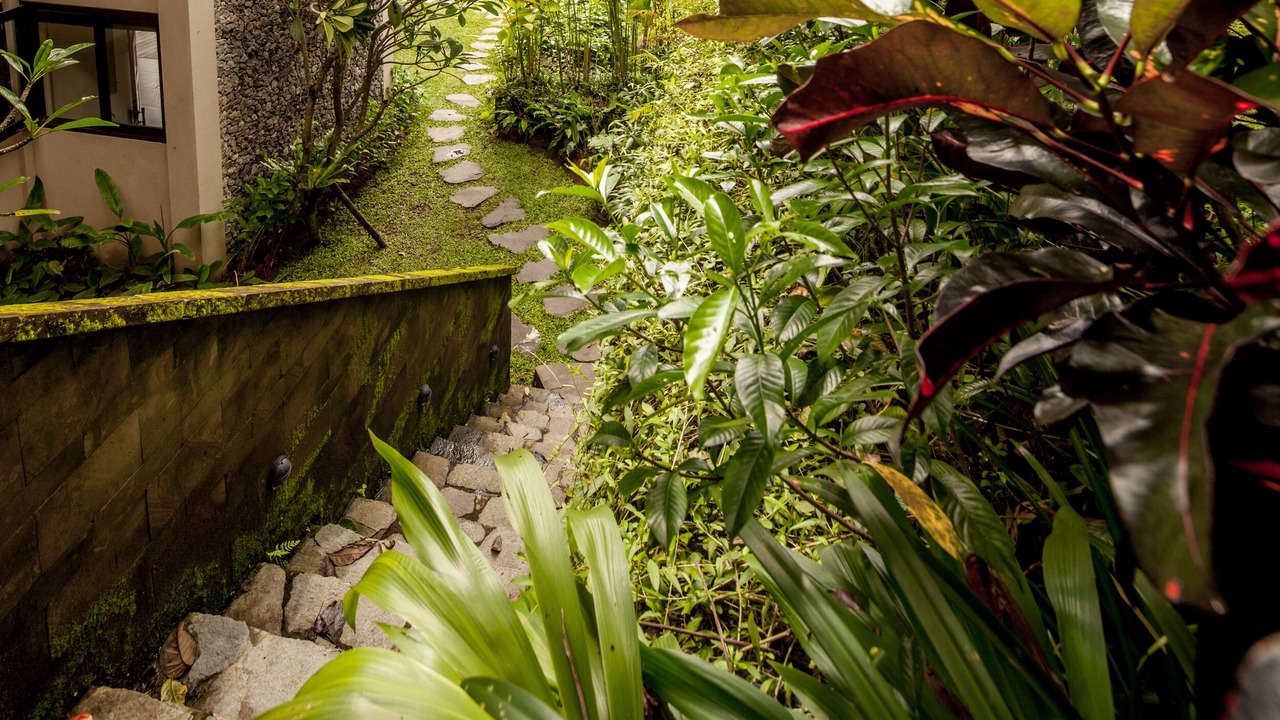 Photo of Outdoor in Tampaksiring