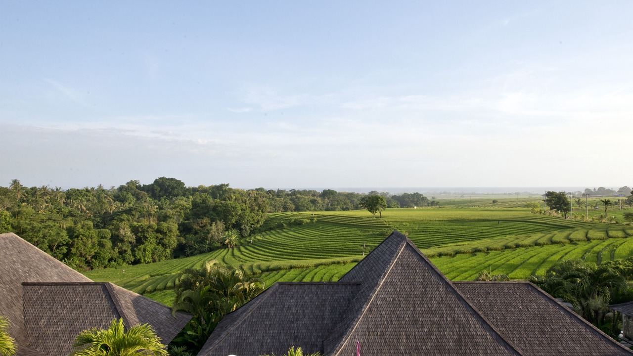 Photo of Others in Tegal Mengkeb
