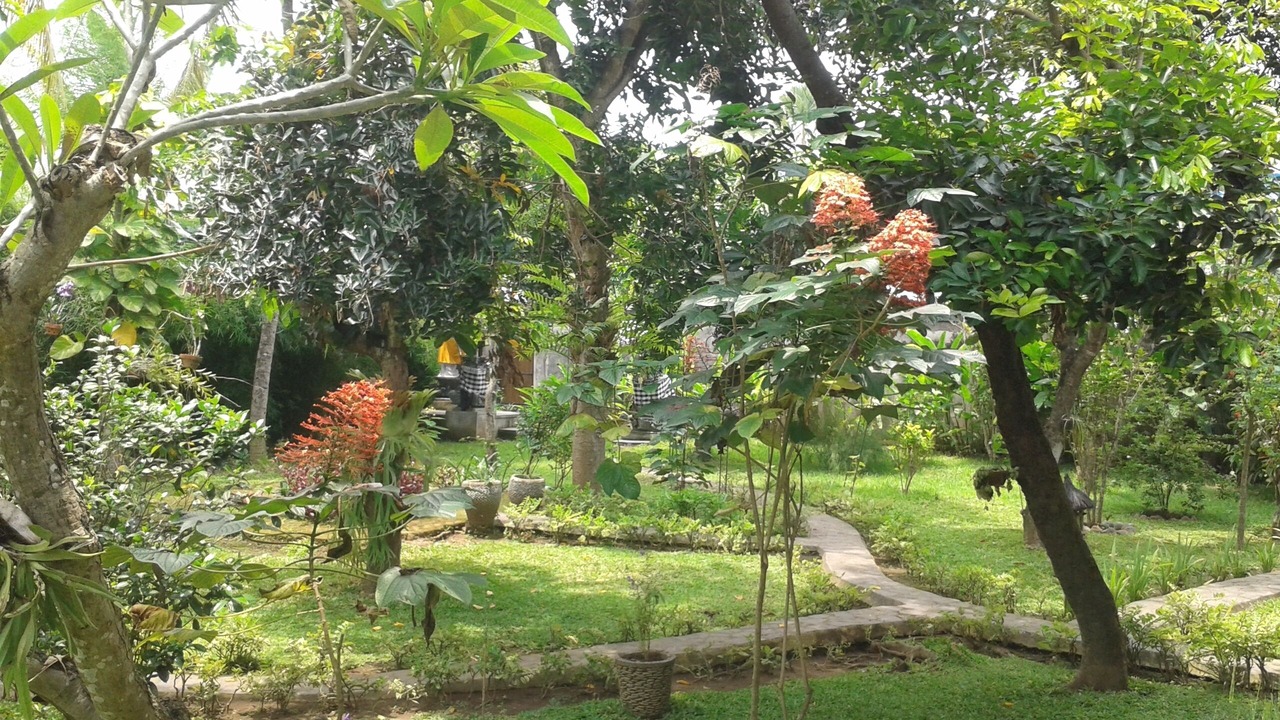 Photo of Outdoor in Kaliasem