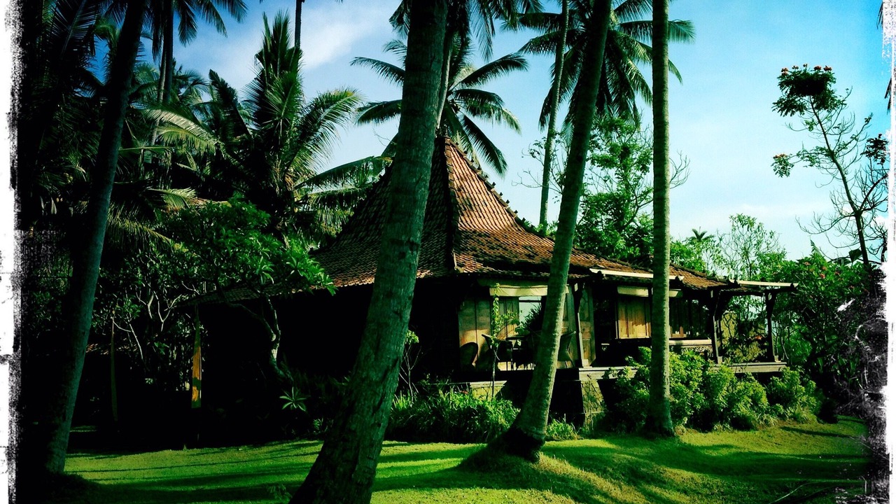Photo of Outdoor in Jasri