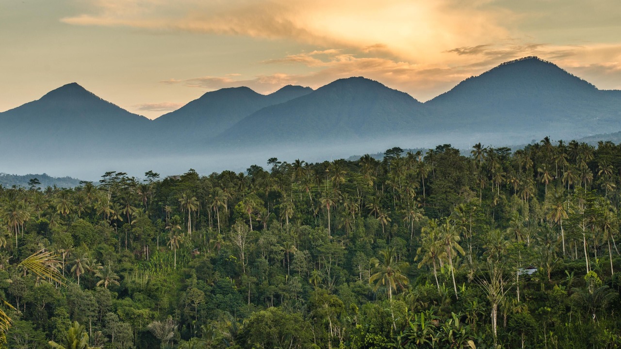 Photo of Others in Payangan