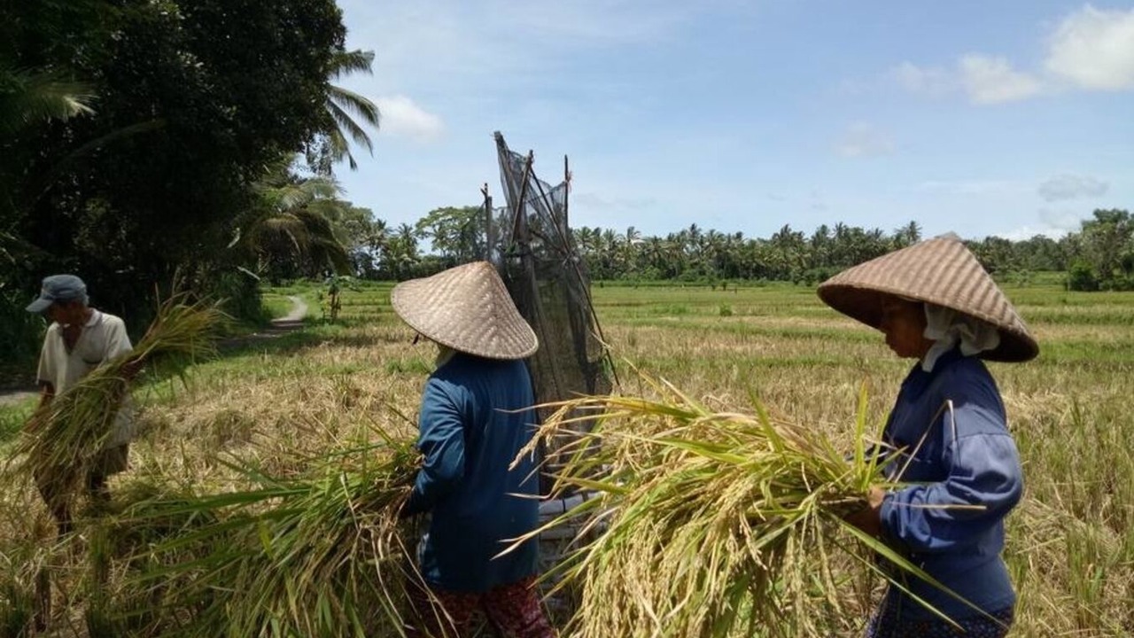 Photo of Others in Bongkasa Pertiwi
