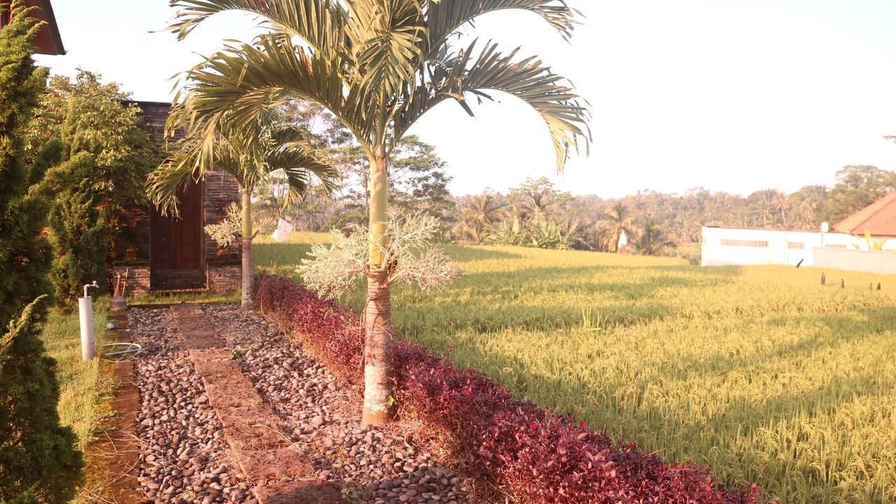 Photo of Outdoor in Tegallalang