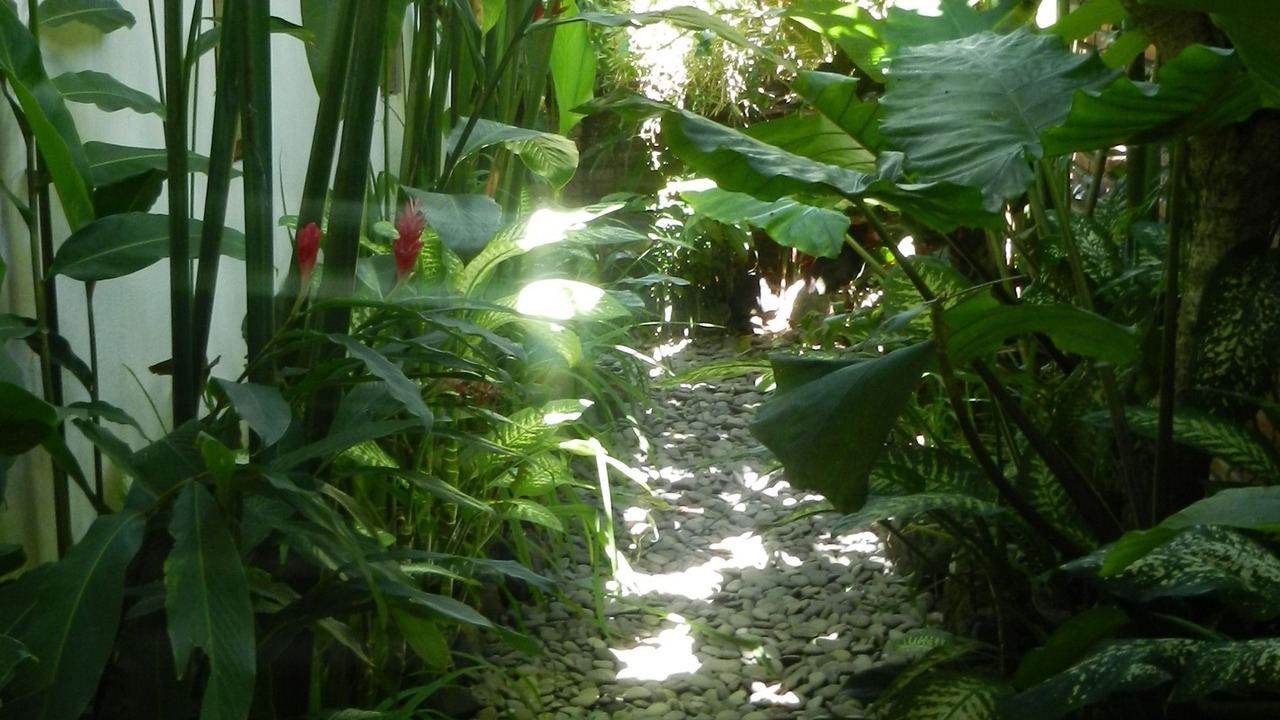 Photo of Outdoor in Candi Dasa