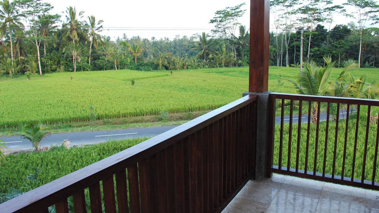 Photo of Outdoor in Tegallalang