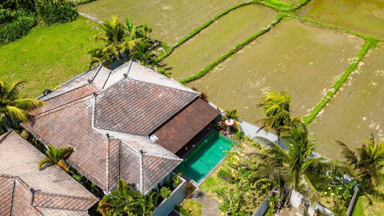 Photo of Outdoor in Peliatan
