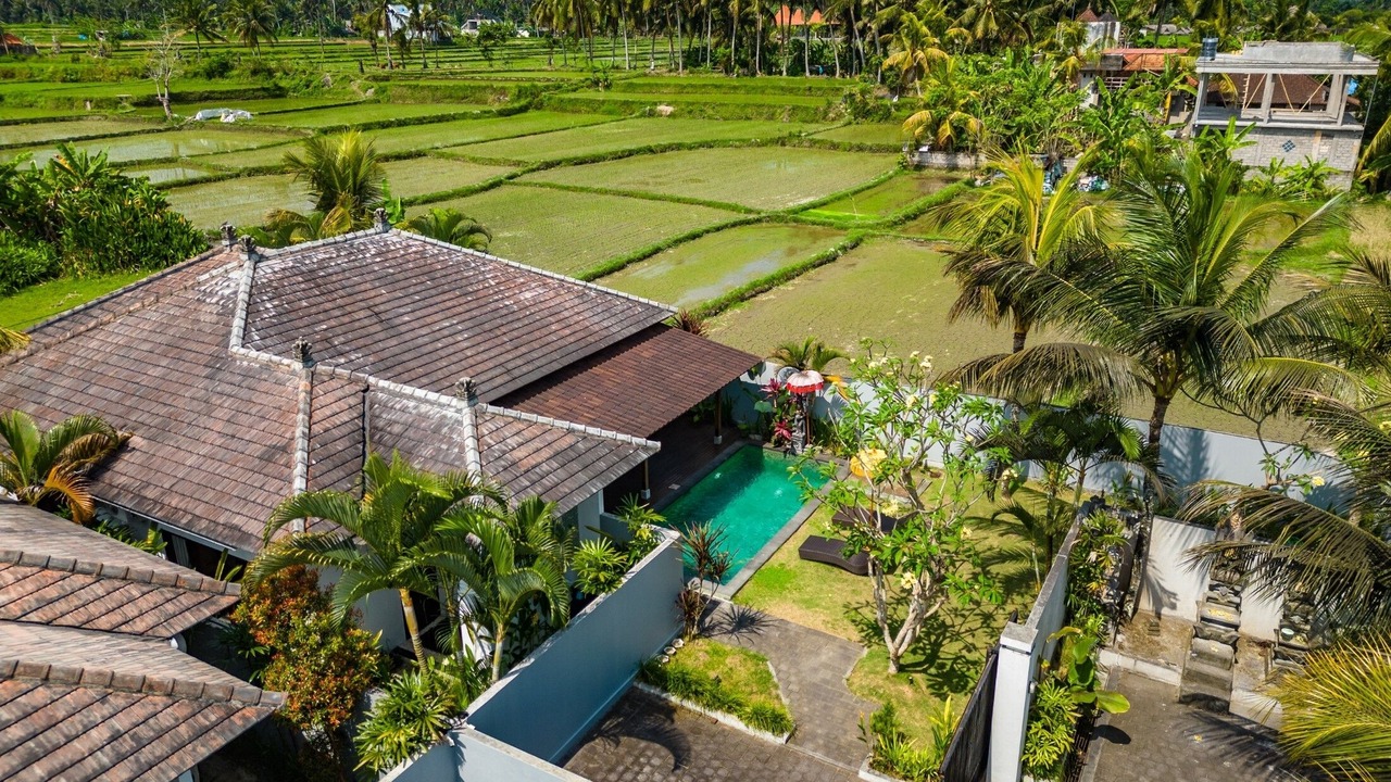 Photo of Outdoor in Peliatan