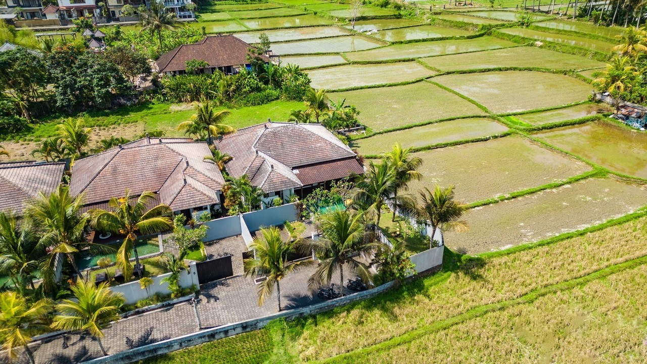 Photo of Outdoor in Peliatan