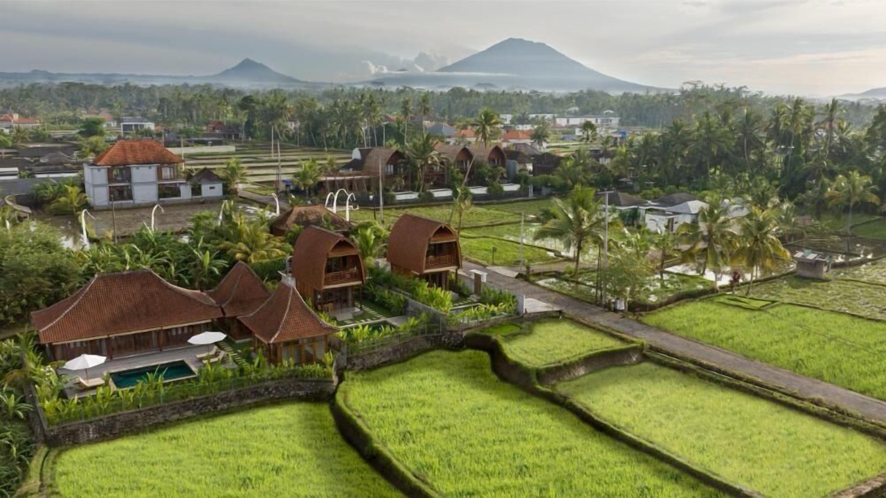 Photo of Outdoor in Pejeng Kawan