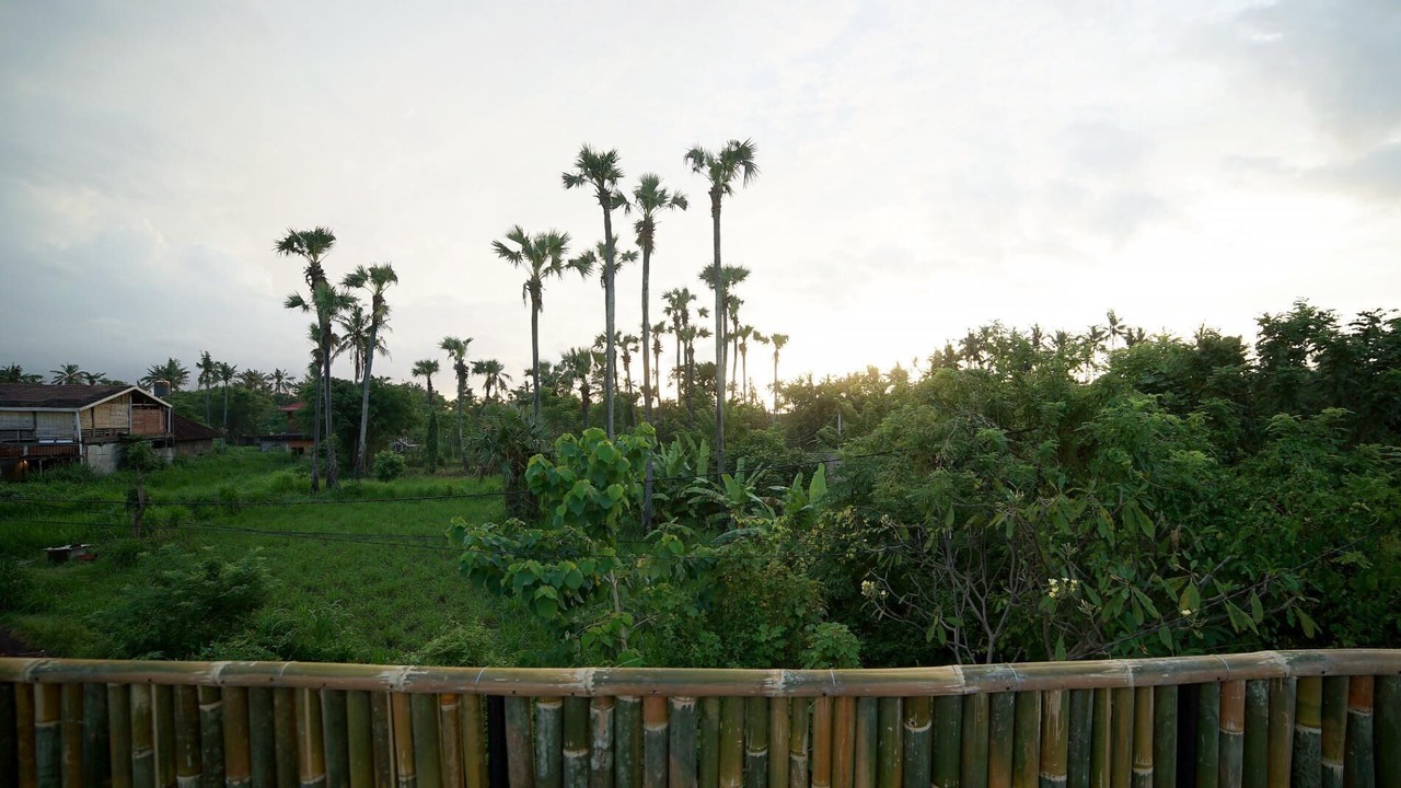 Photo of Outdoor in Purwakerti