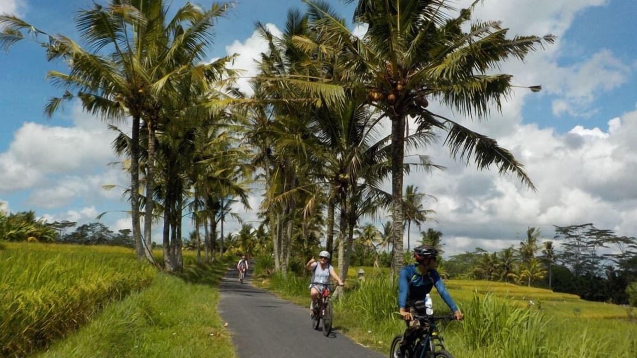 Photo of Outdoor in Pejeng Kawan