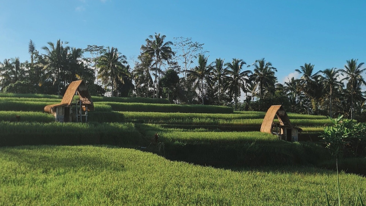 Photo of Outdoor in Sebatu
