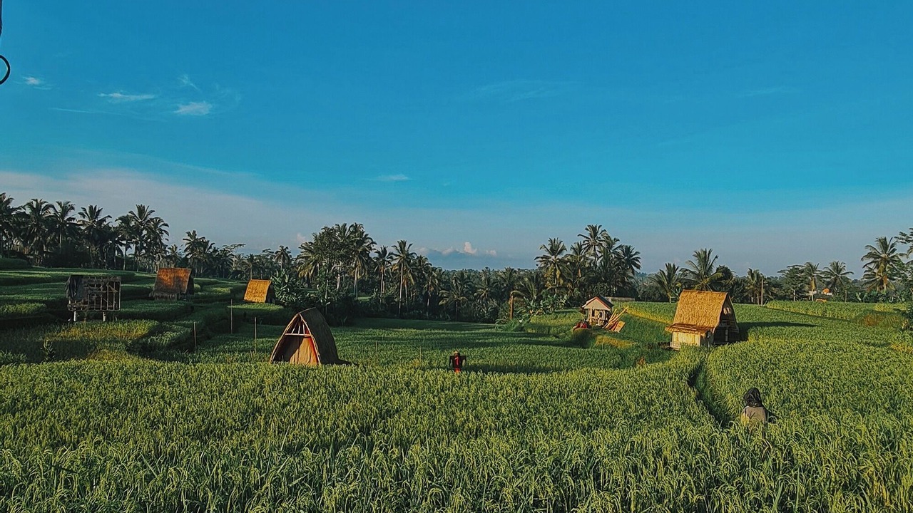 Photo of Outdoor in Sebatu